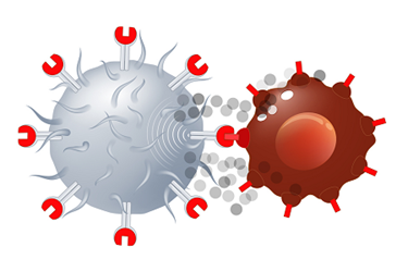 توسعه کلاس جدیدی از سلول‌های CAR-T 