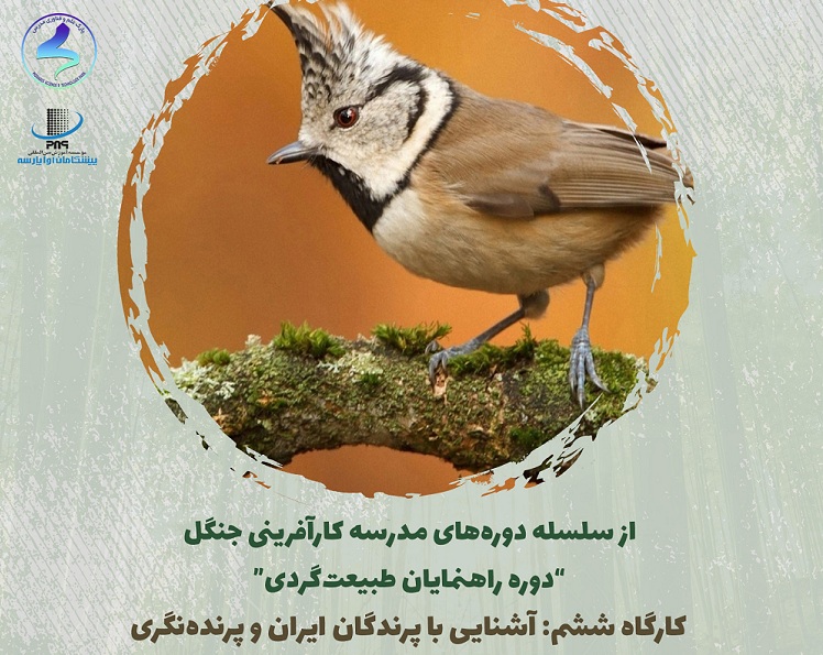 برگزاری کارگاه «آشنایی با پرندگان ایران و پرنده نگری»